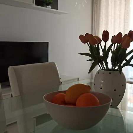 Apartment Rose In Bloom *