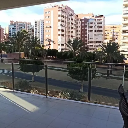 Rose In Bloom Daire Benidorm