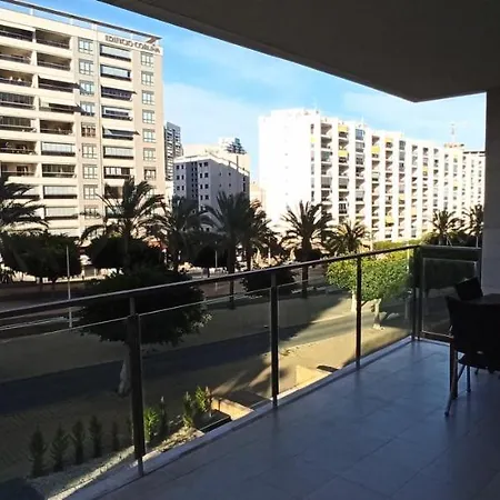 Rose In Bloom Daire Benidorm